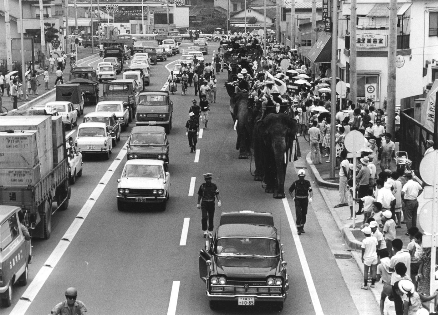 自動車やトラックがならぶ広い道路の右側を、人を乗せたゾウの列が歩き、歩道に大勢の見物人がいる白黒の写真