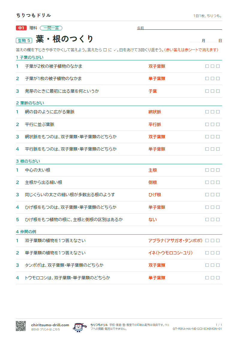 葉・根のつくり 一問一答の見本