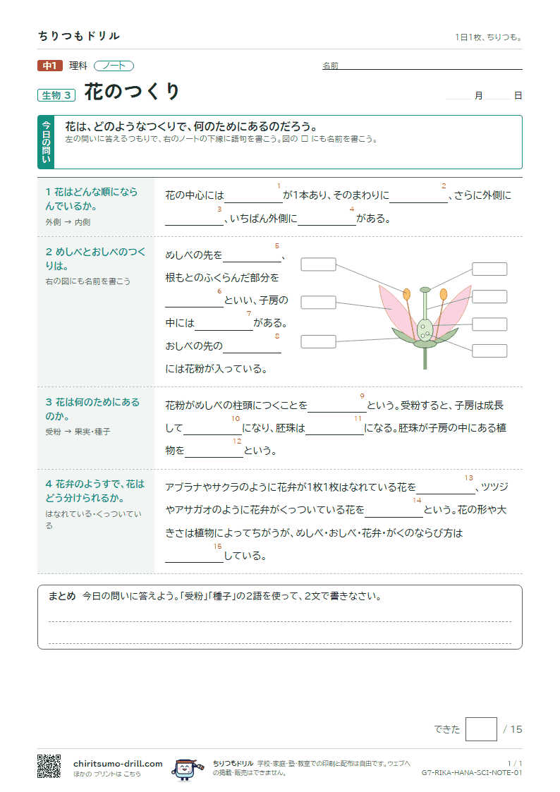 花のつくり ノートの見本
