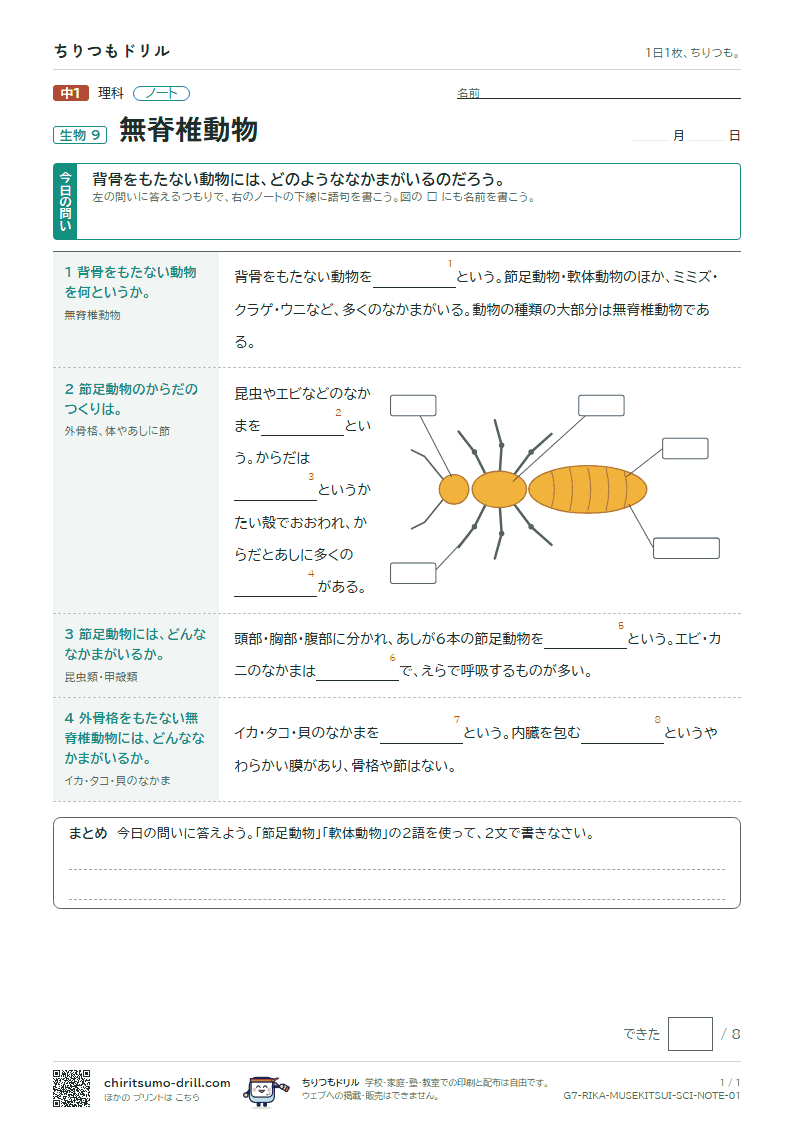 無脊椎動物 ノートの見本