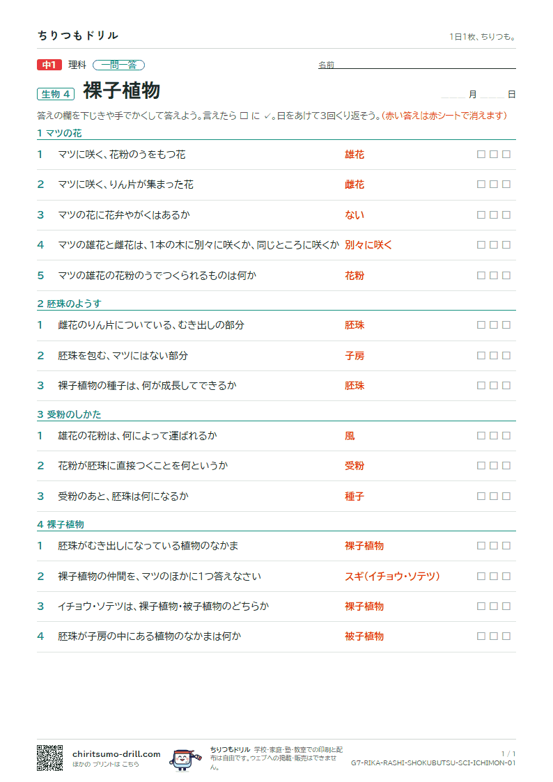 裸子植物 一問一答の見本