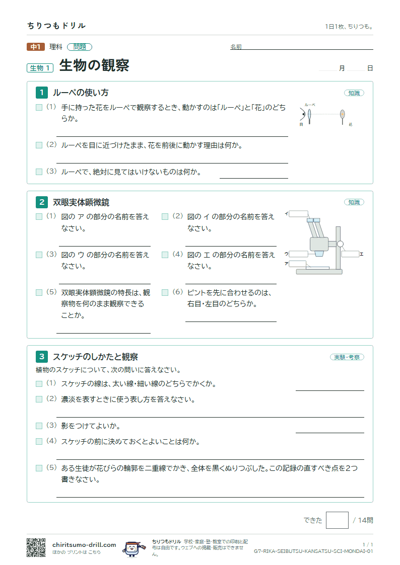 生物の観察 問題の見本