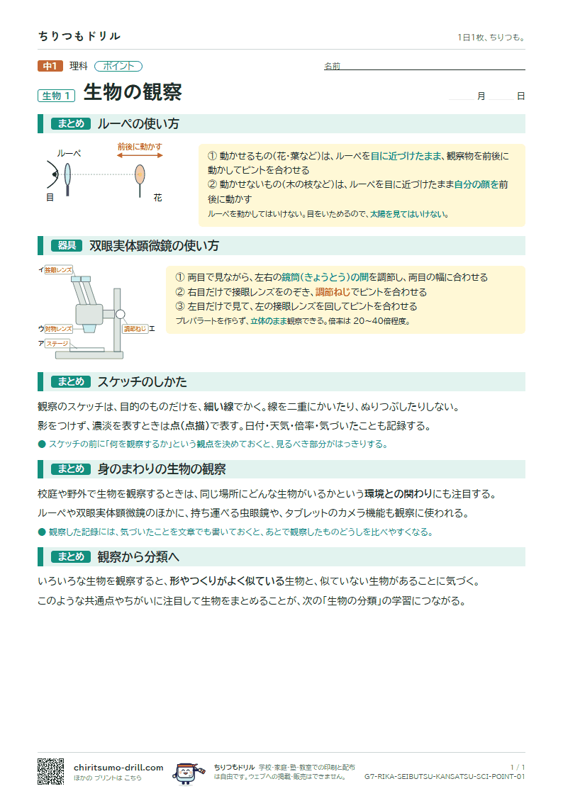 生物の観察 ポイントの見本