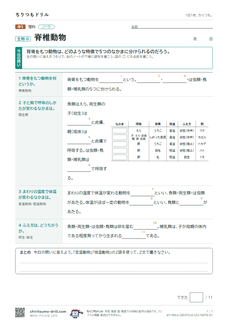 脊椎動物 ノートの見本