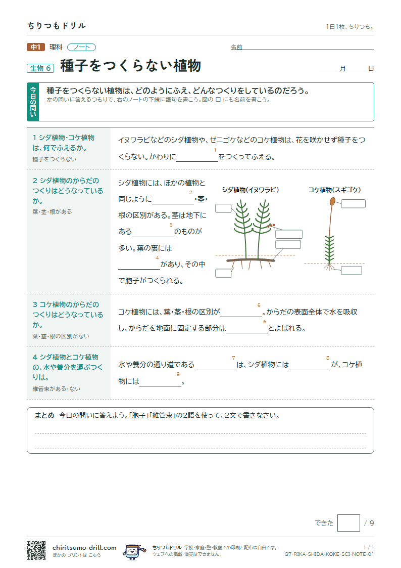 種子をつくらない植物 ノートの見本