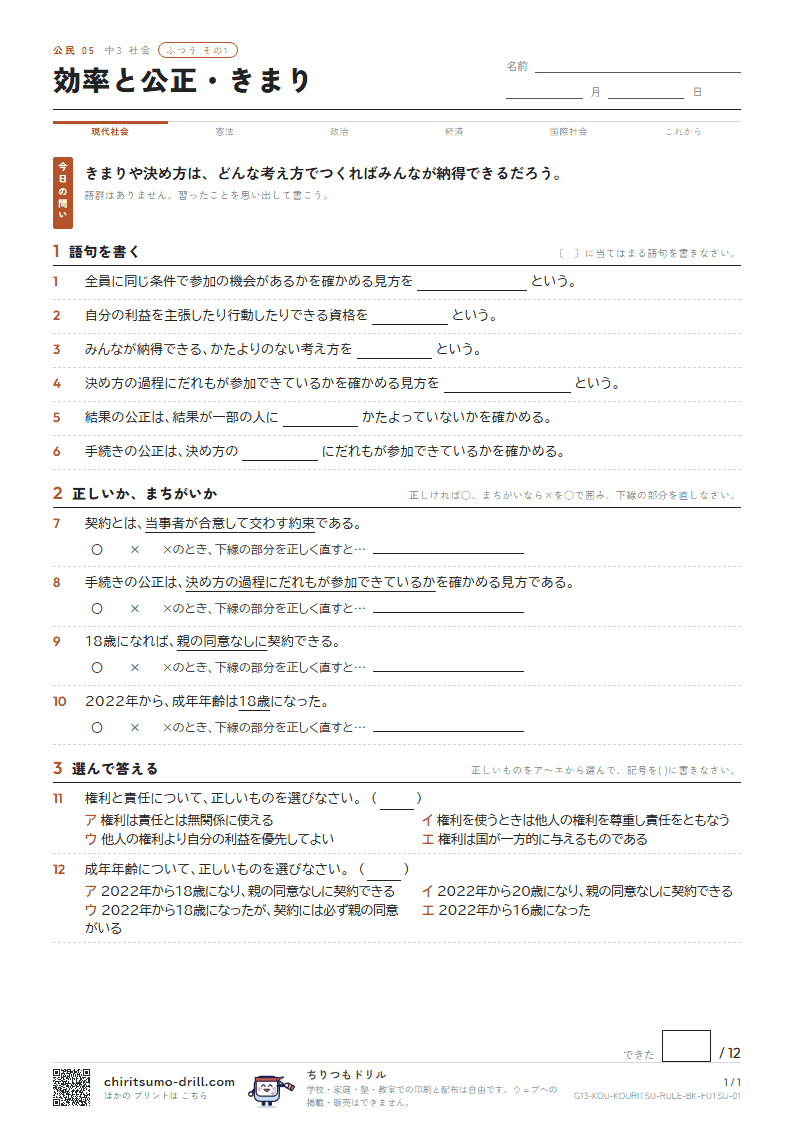 効率と公正・きまり ふつう その1の見本