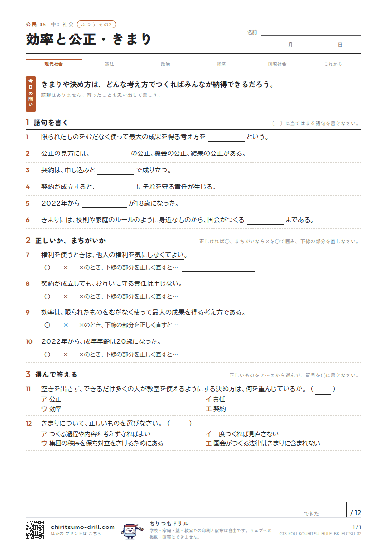効率と公正・きまり ふつう その2の見本