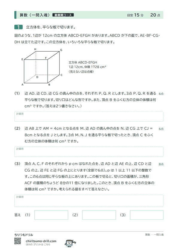 立方体の切断の問題(見本)