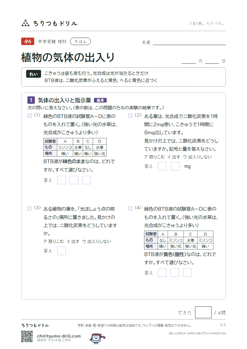 植物の気体の出入り きほん その4の見本