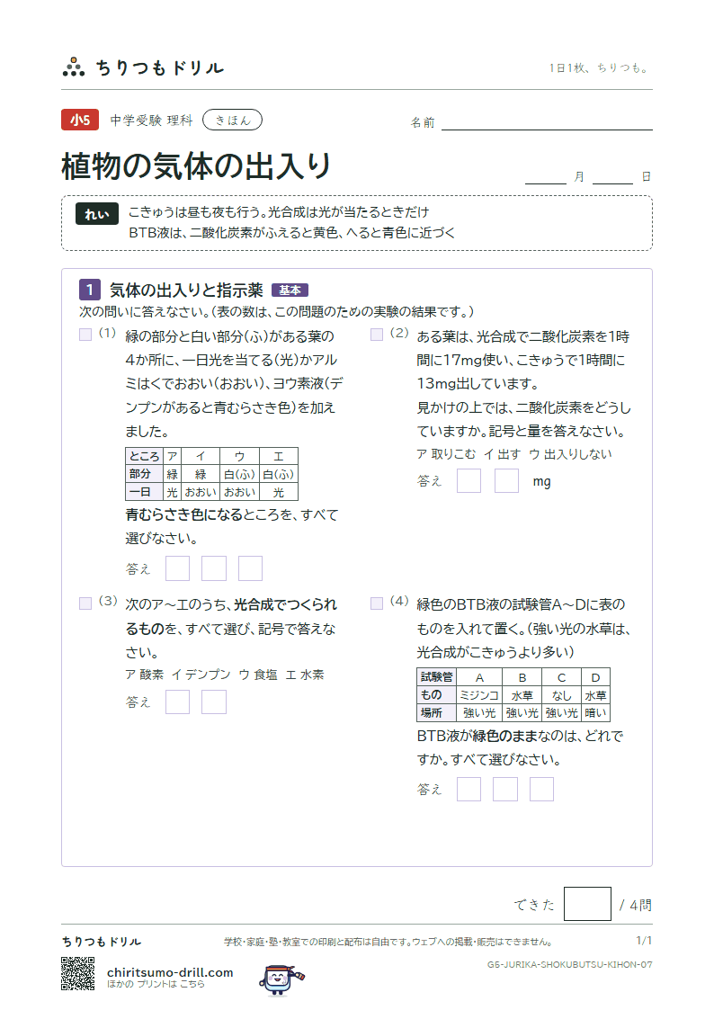 植物の気体の出入り きほん その7の見本