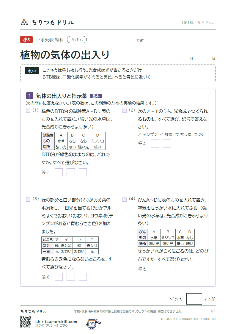 植物の気体の出入り きほん その9の見本