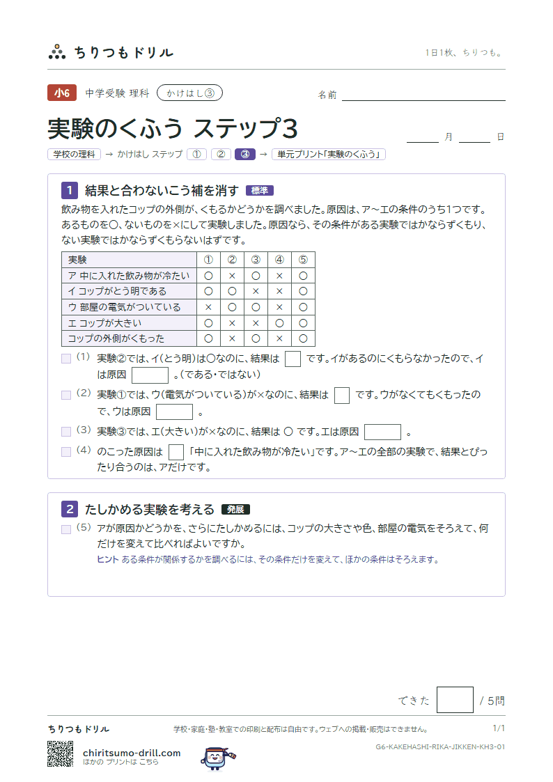 かけはし 実験のくふう(ステップ3)の見本