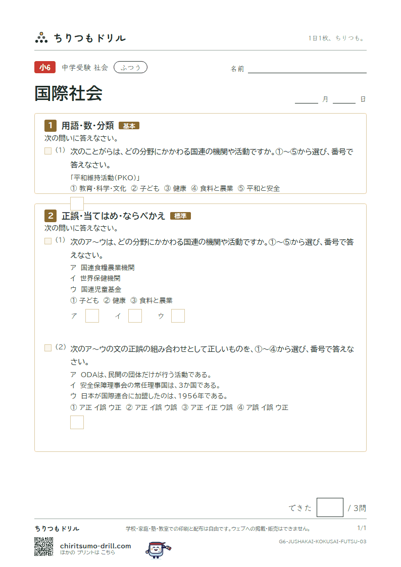 国際社会 ふつう その3の見本