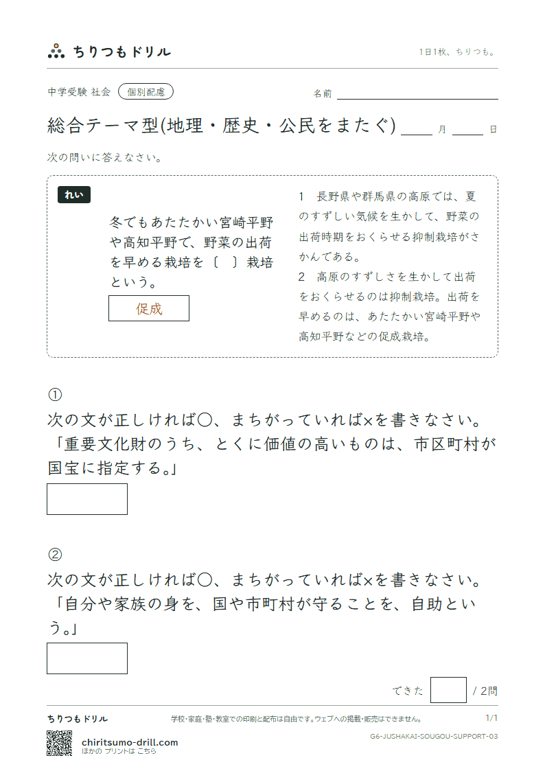 総合テーマ型(地理・歴史・公民をまたぐ) 大きな枠つき その3の見本