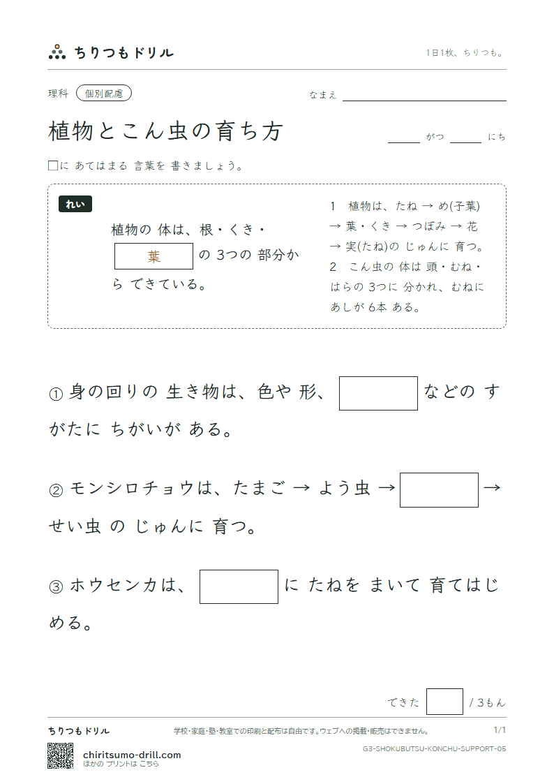 植物とこん虫の育ち方 大きな枠つき その5の見本