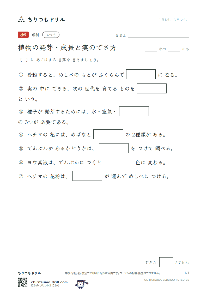 植物の発芽・成長と実のでき方 ふつう その2の見本