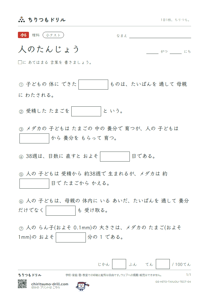 人のたんじょう 小テスト その4の見本