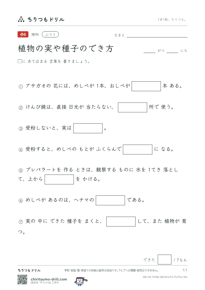 植物の実や種子のでき方 ふつう その4の見本
