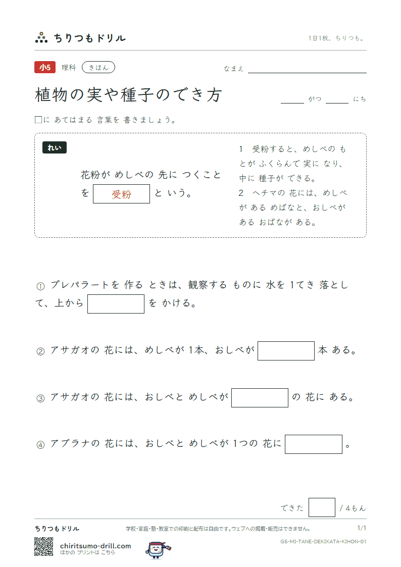 植物の実や種子のでき方 きほん その1の見本