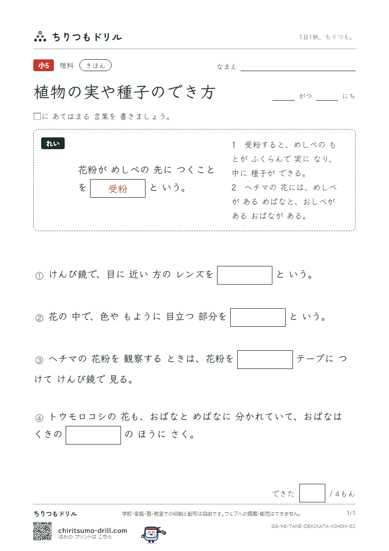 植物の実や種子のでき方 きほん その2の見本