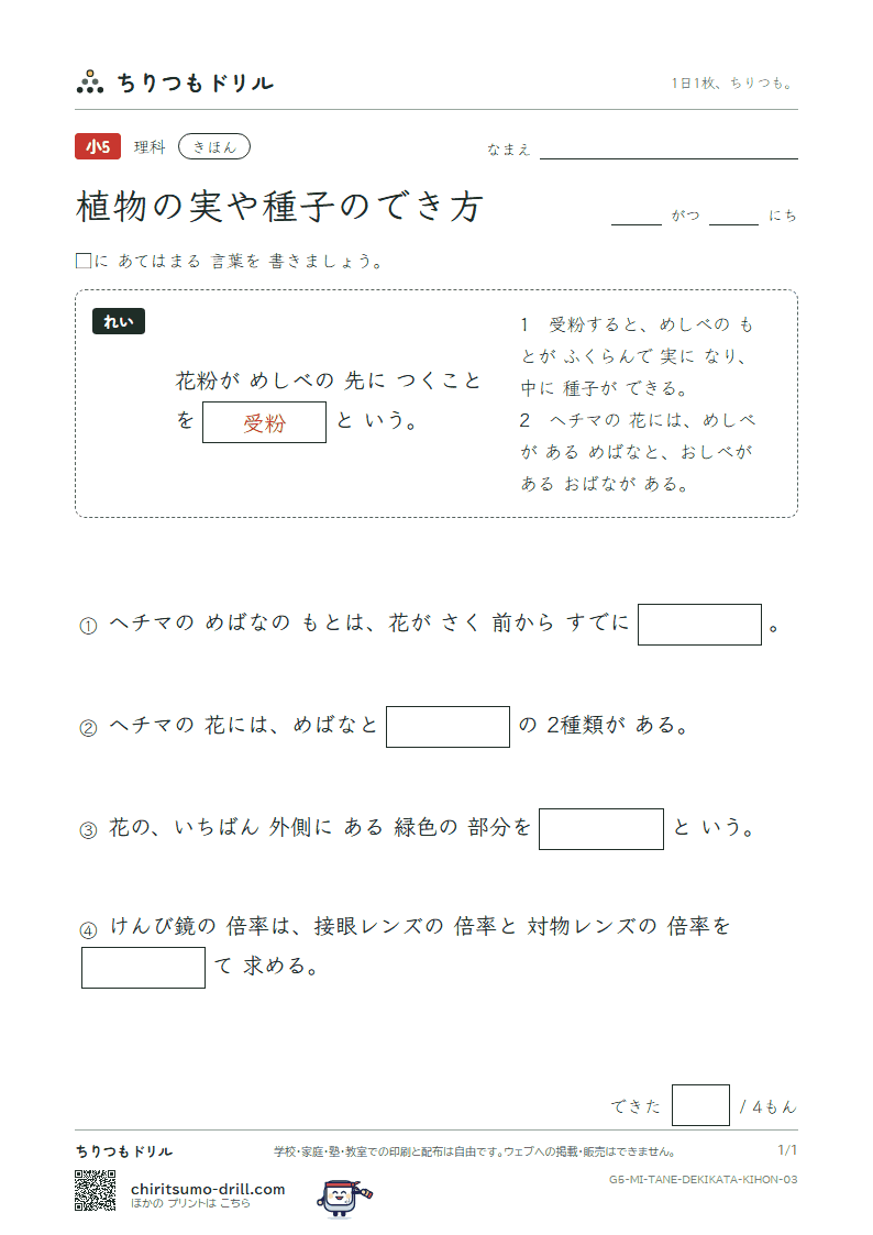 植物の実や種子のでき方 きほん その3の見本