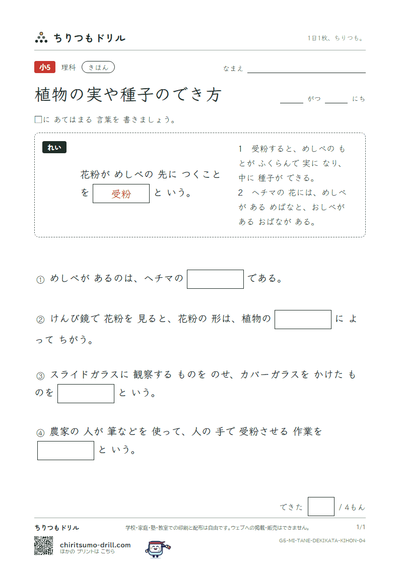 植物の実や種子のでき方 きほん その4の見本
