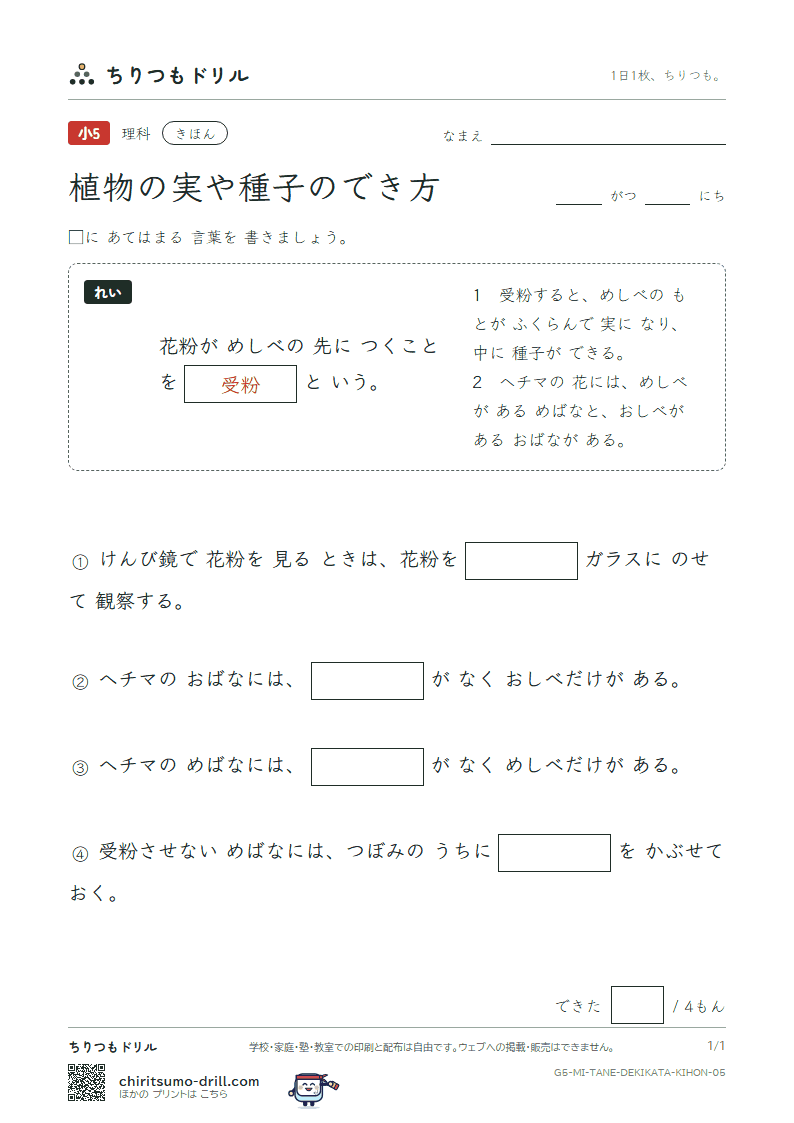 植物の実や種子のでき方 きほん その5の見本