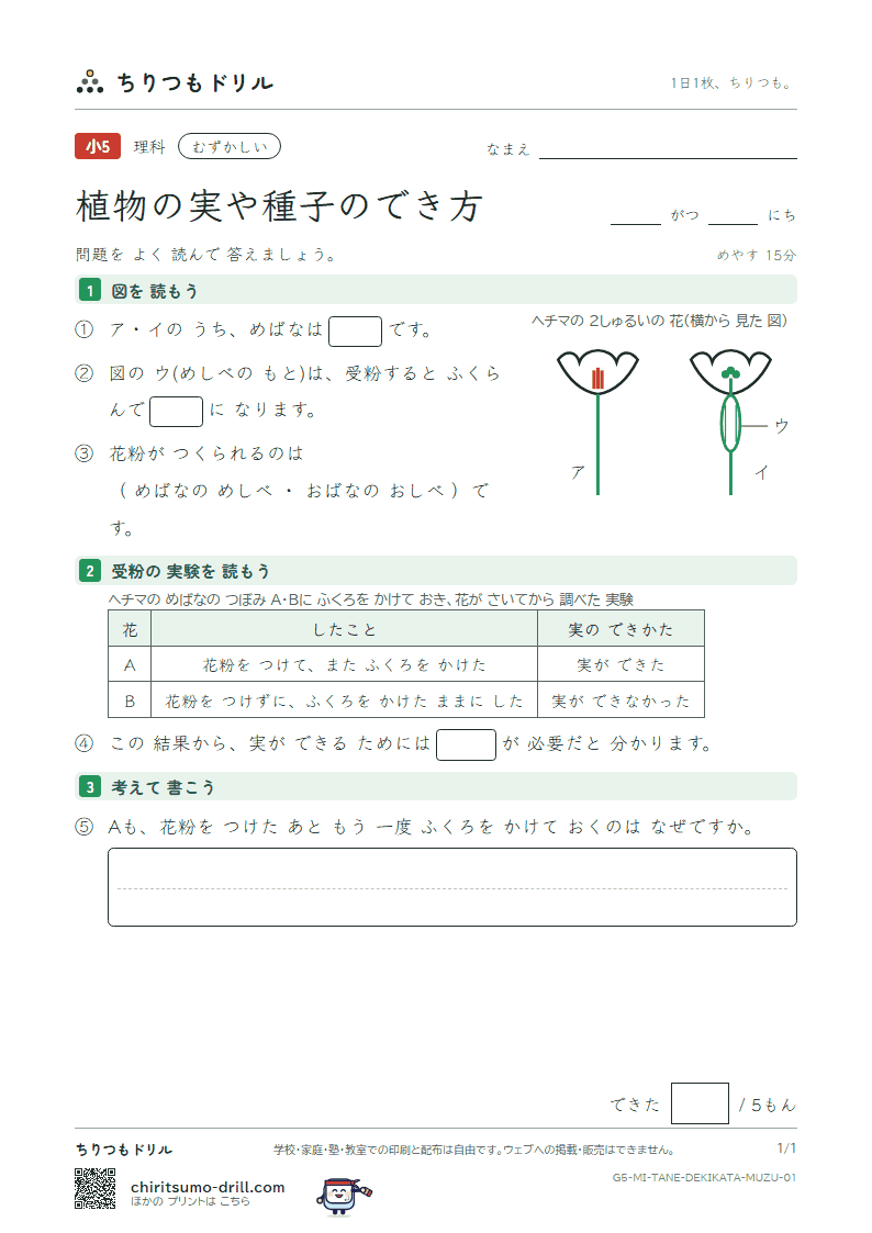植物の実や種子のでき方 むずかしい その1の見本