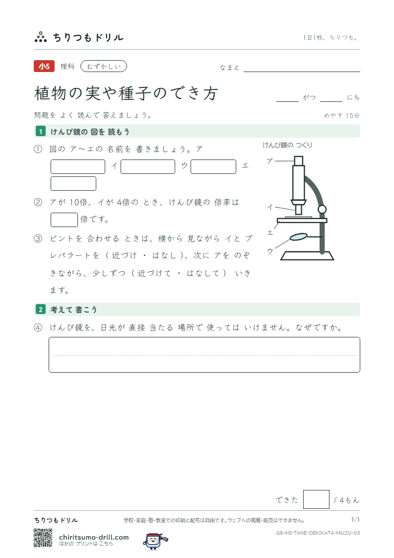 植物の実や種子のでき方 むずかしい その3の見本