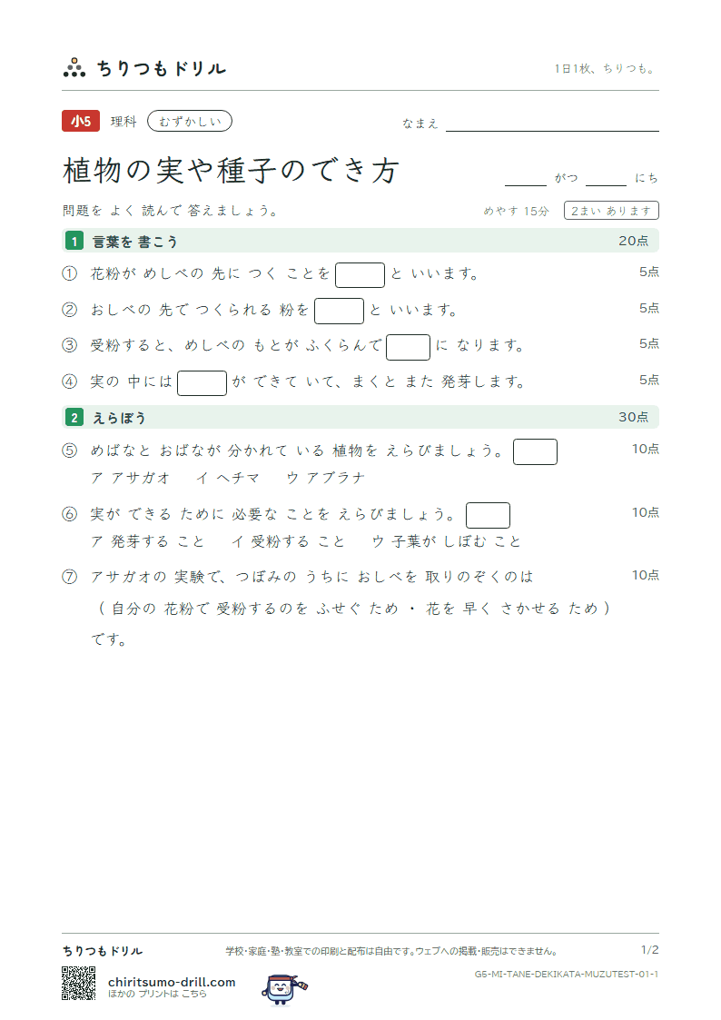 植物の実や種子のでき方 むずかしい テスト その1の見本
