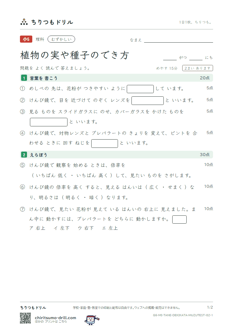 植物の実や種子のでき方 むずかしい テスト その2の見本