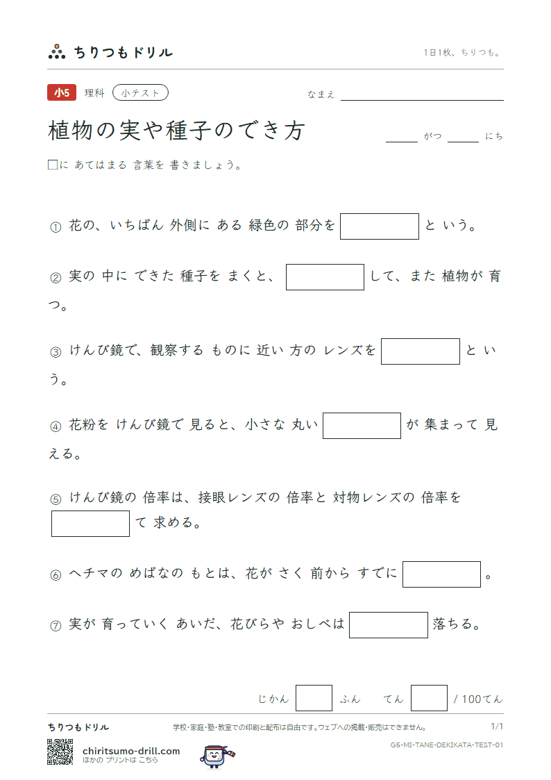 植物の実や種子のでき方 小テスト その1の見本