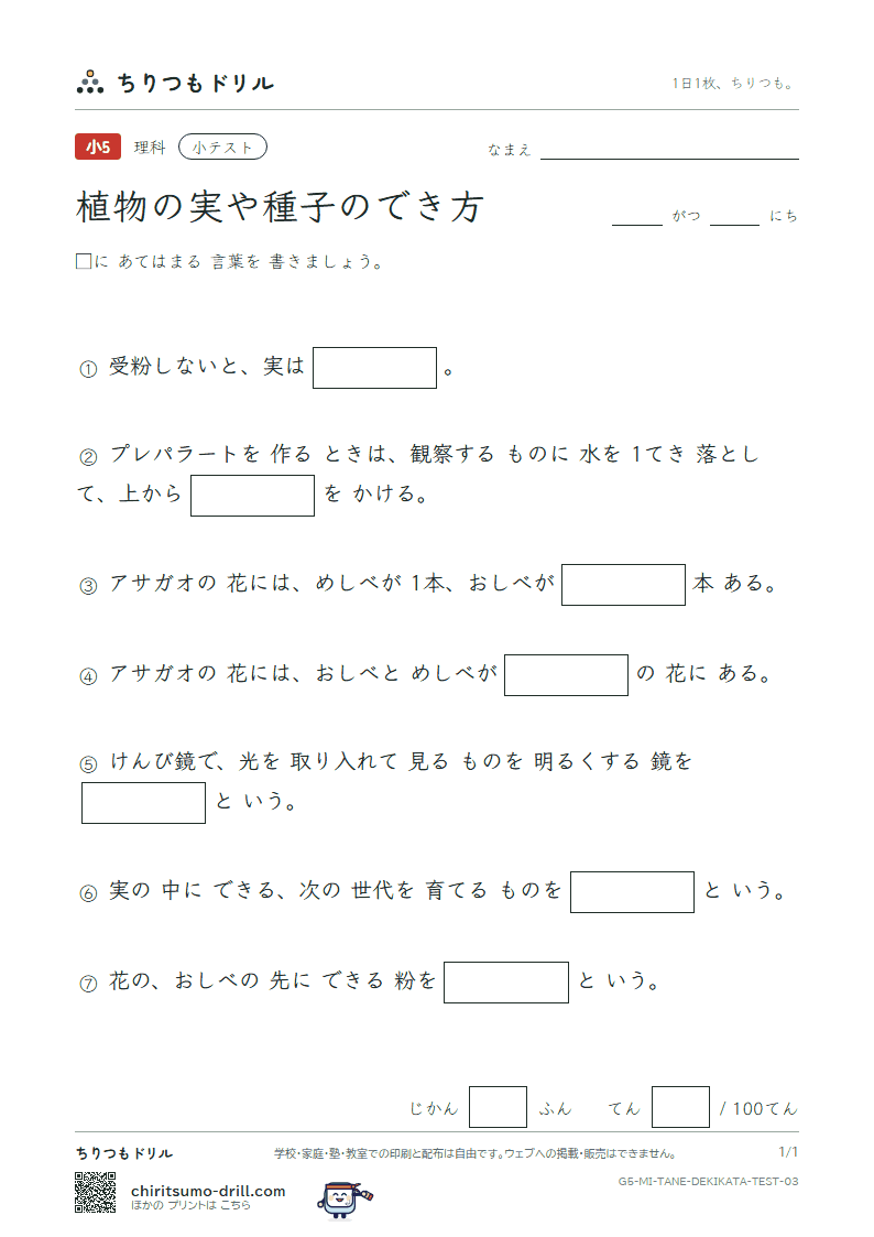 植物の実や種子のでき方 小テスト その3の見本