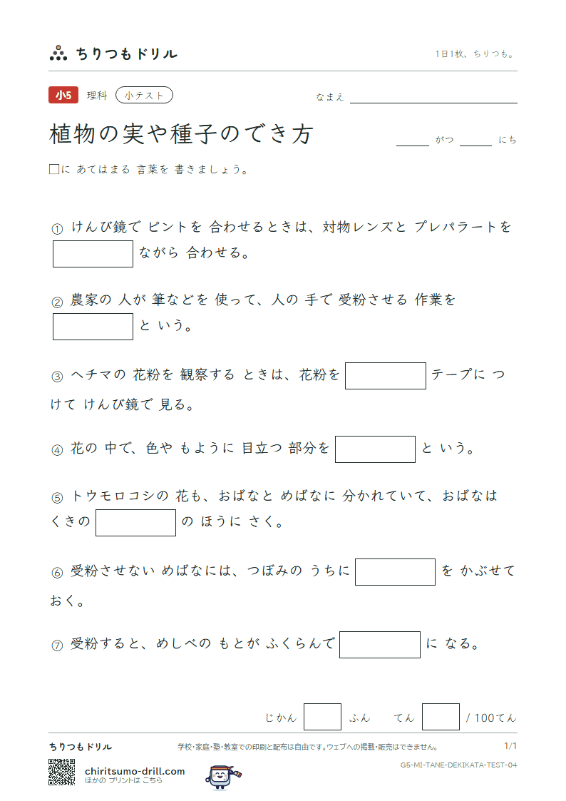 植物の実や種子のでき方 小テスト その4の見本