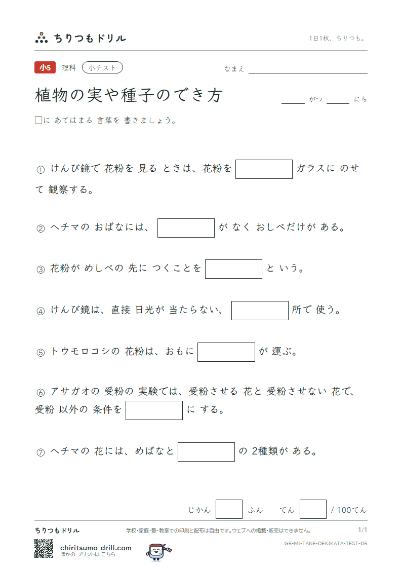 植物の実や種子のでき方 小テスト その5の見本
