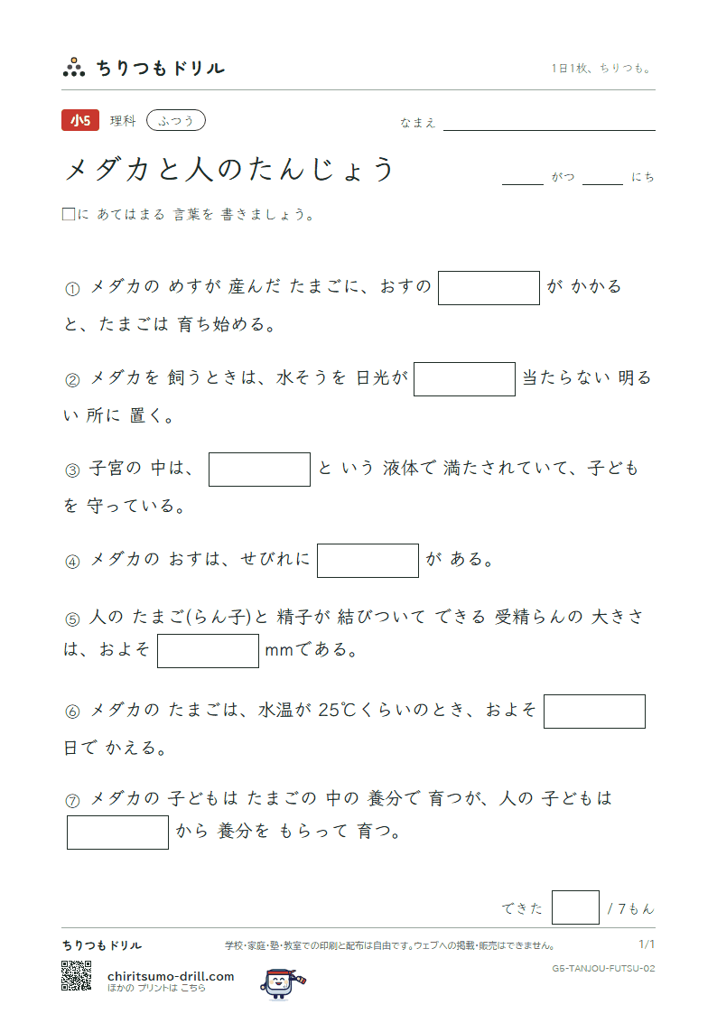 メダカと人のたんじょう ふつう その2の見本