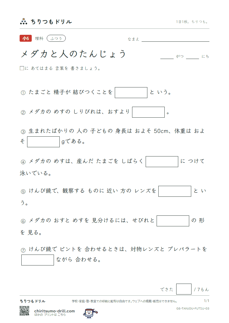メダカと人のたんじょう ふつう その3の見本
