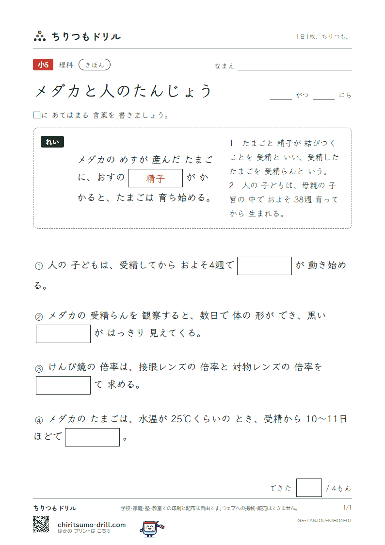 メダカと人のたんじょう きほん その1の見本