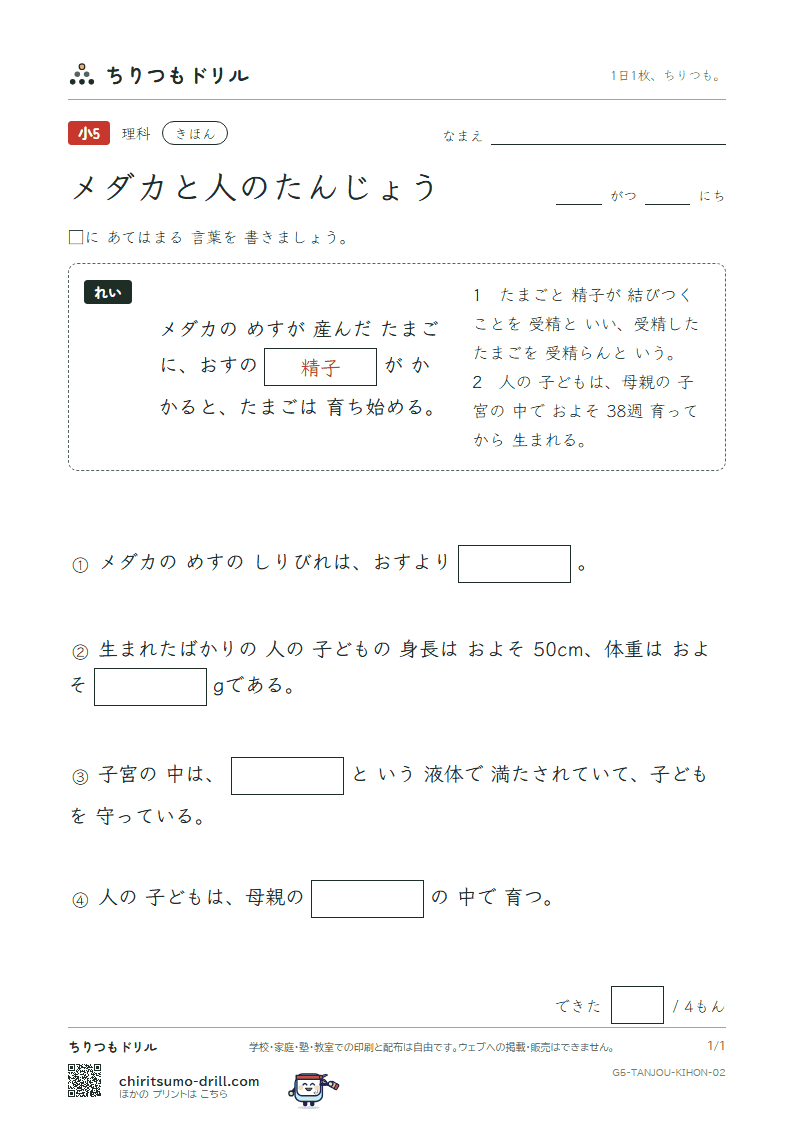 メダカと人のたんじょう きほん その2の見本