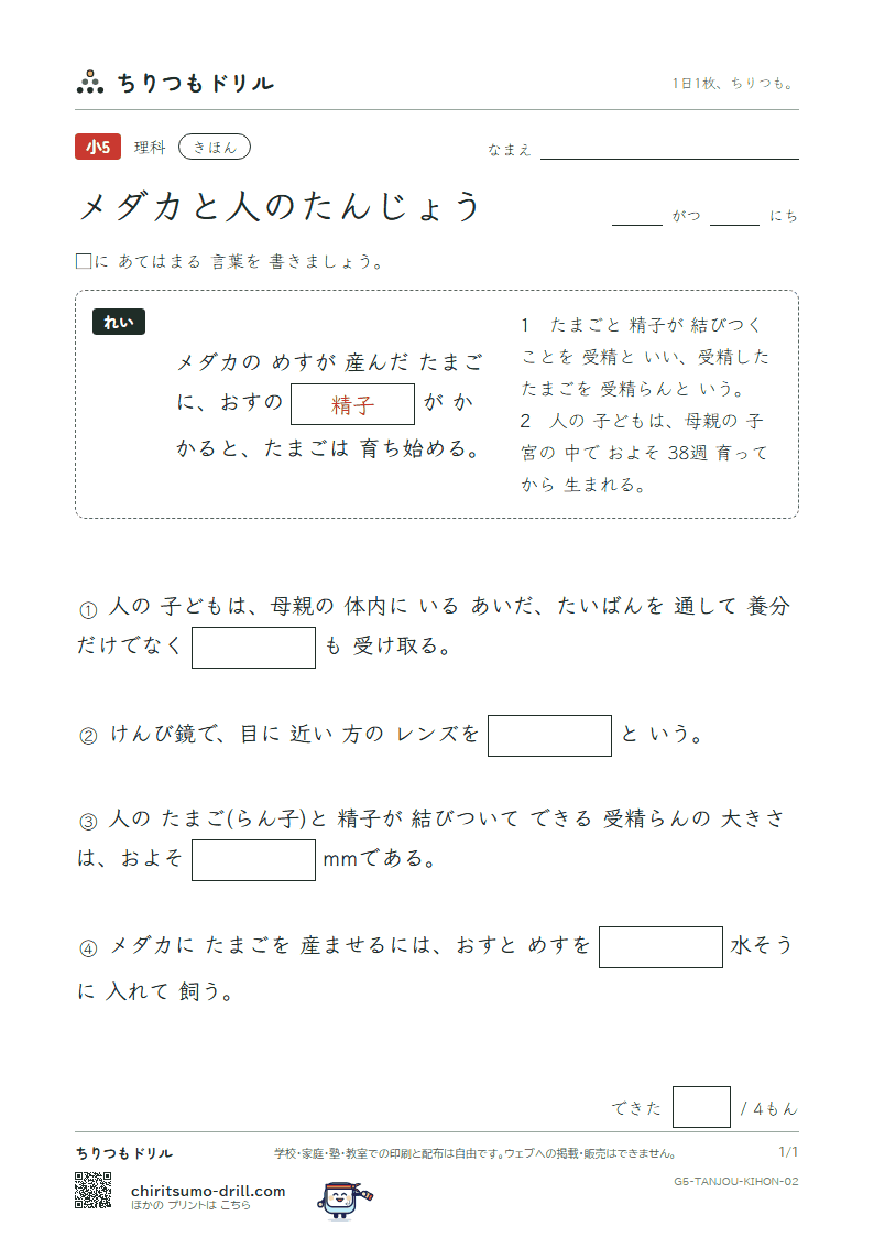 メダカと人のたんじょう きほん その2の見本