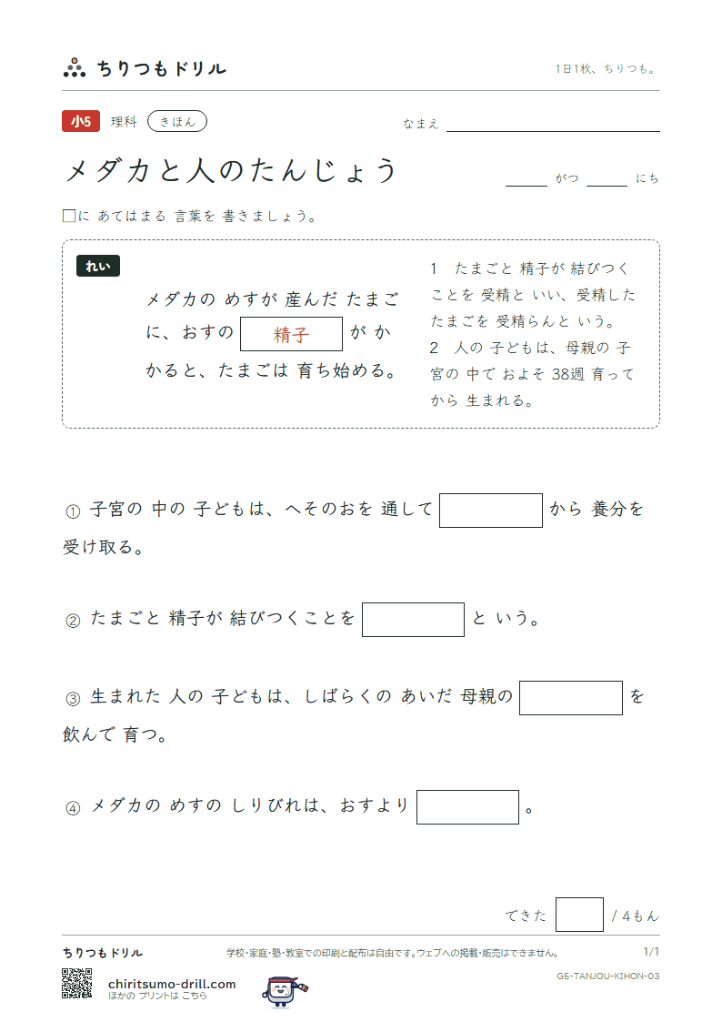 メダカと人のたんじょう きほん その3の見本