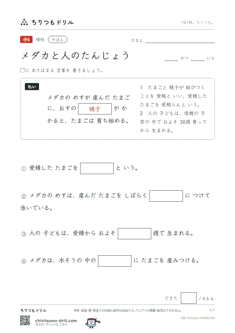 メダカと人のたんじょう きほん その4の見本