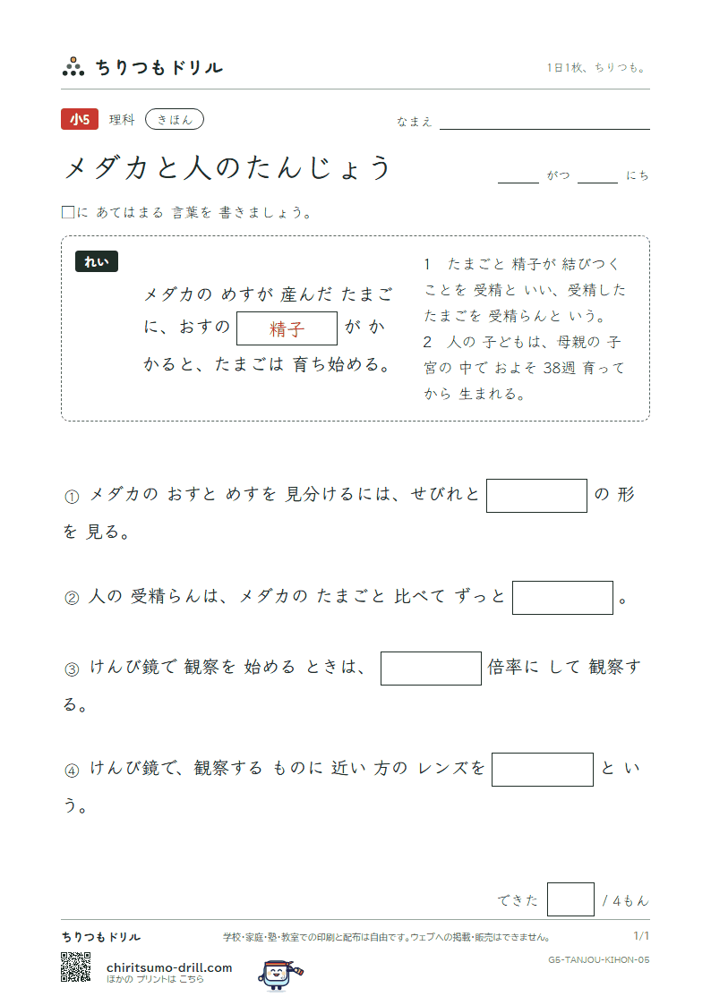 メダカと人のたんじょう きほん その5の見本