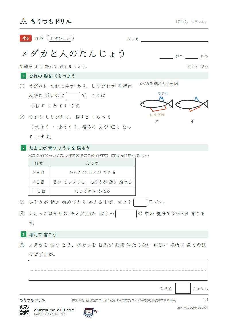 メダカと人のたんじょう むずかしい その1の見本