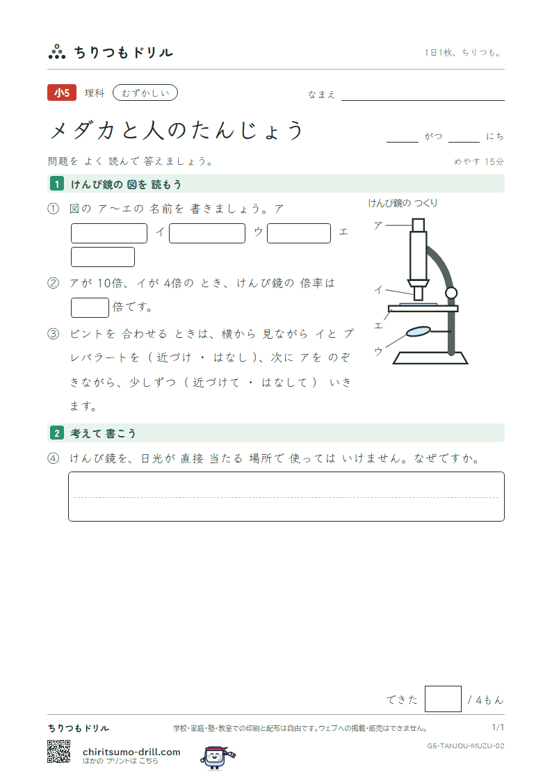 メダカと人のたんじょう むずかしい その2の見本