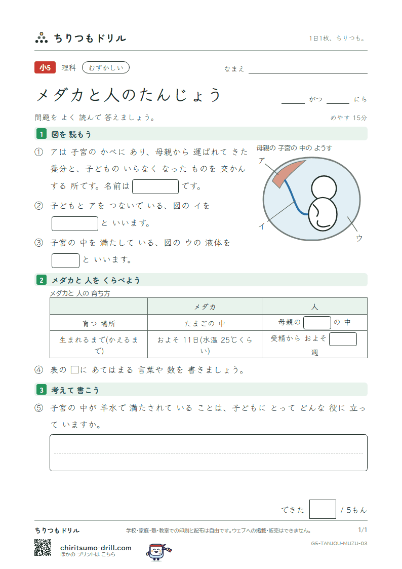 メダカと人のたんじょう むずかしい その3の見本