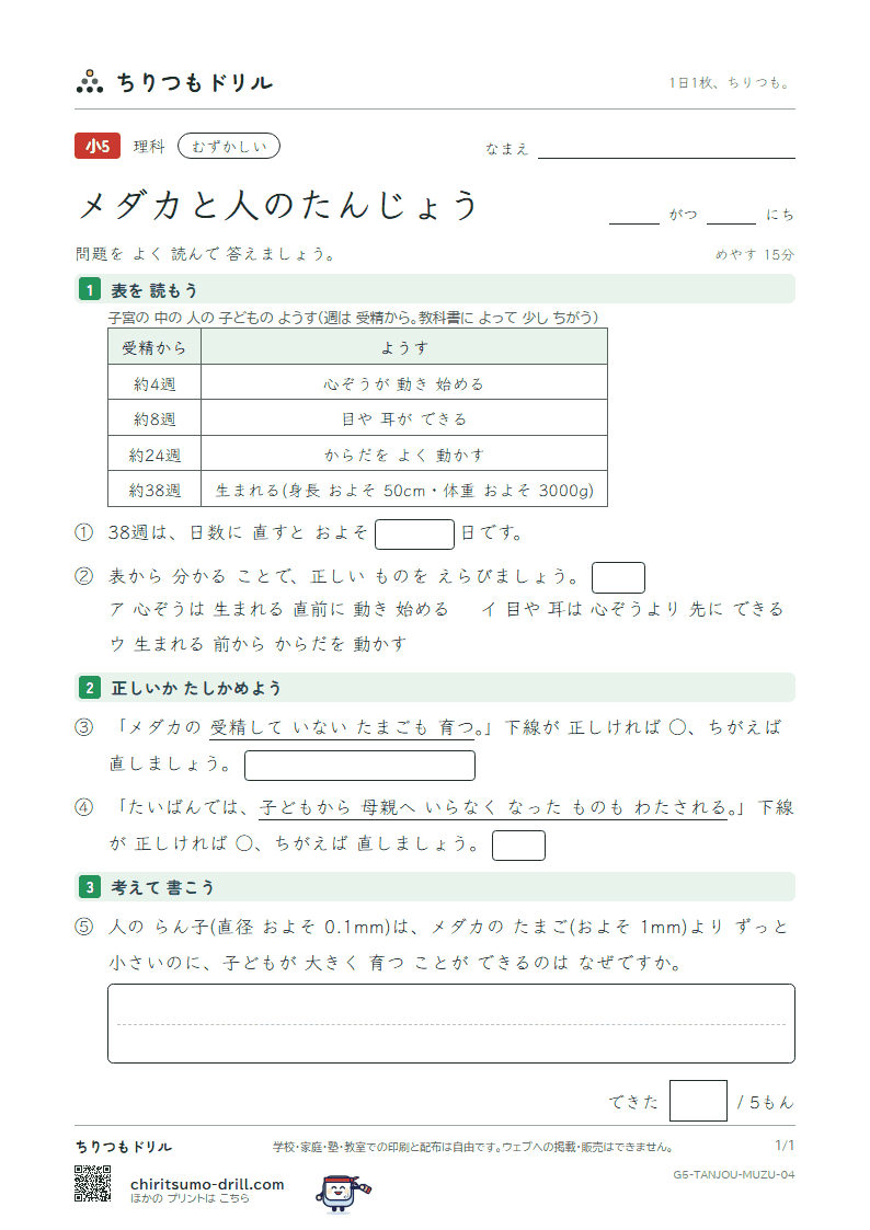 メダカと人のたんじょう むずかしい その4の見本