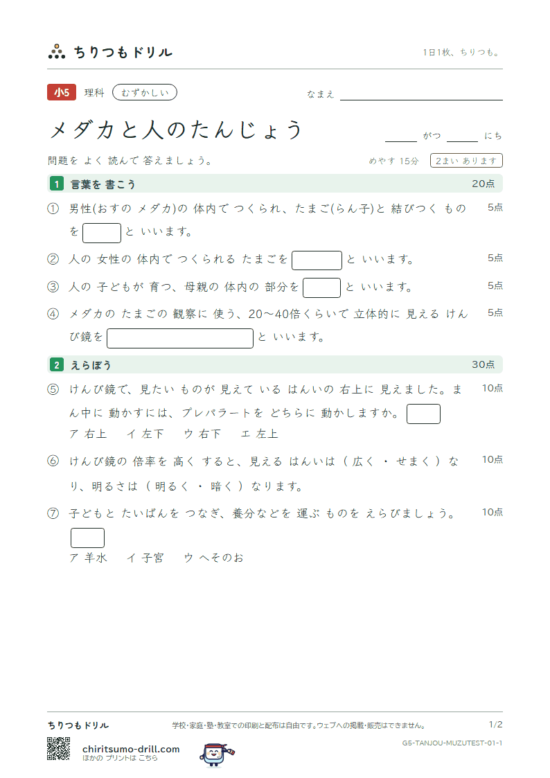 メダカと人のたんじょう むずかしい テスト その1の見本