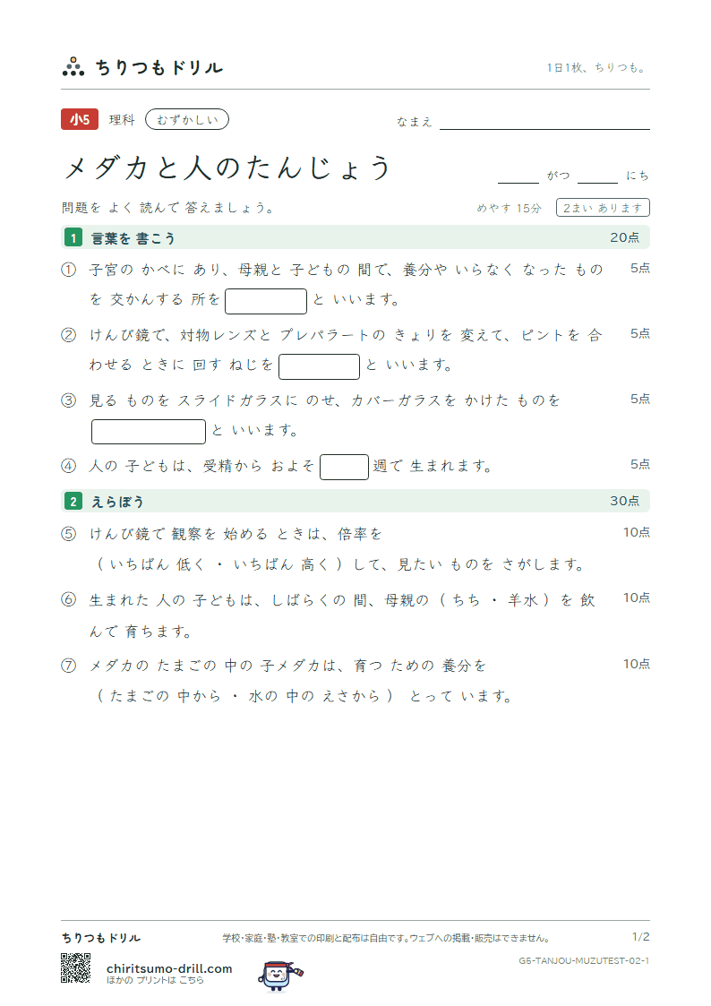 メダカと人のたんじょう むずかしい テスト その2の見本