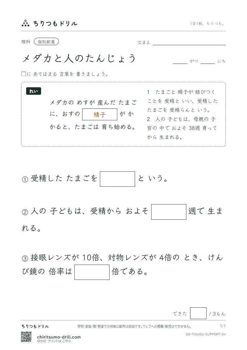 メダカと人のたんじょう 大きな枠つき その4の見本